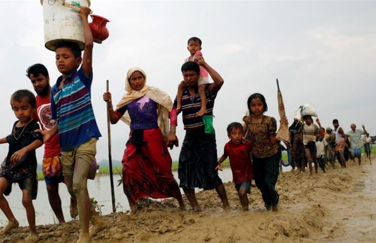 Exodus of the Rohingya