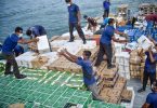 Workers disposing the alcohol and pork that were confiscated by the Maldives Customs. MIHAARU PHOTO / ALI NISHAN
