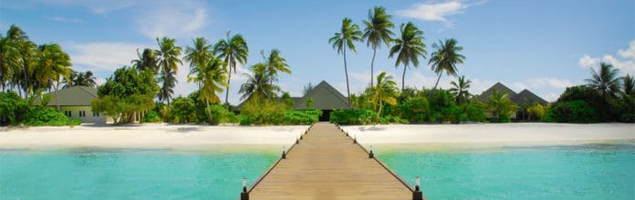 developmentpic-696x220