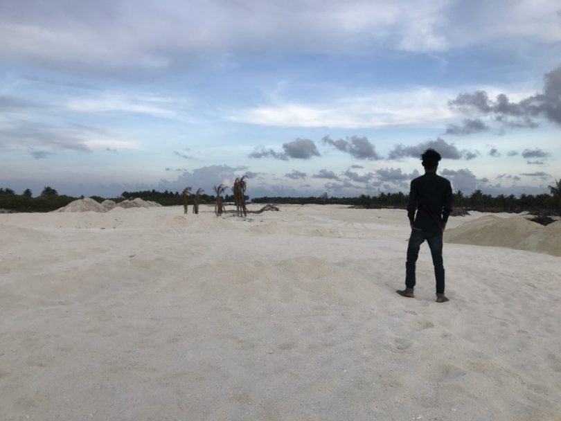 reclaimed mangrove swamp